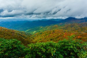 Fall Color in Big Ivy