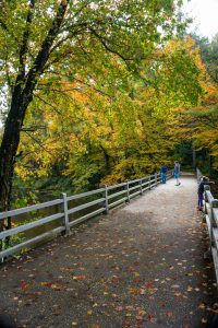 Bridge Over the Linville River