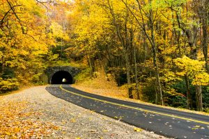 Tanbark Ridge Tunnel in Fall