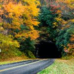 Twin Tunnels in Fall Color