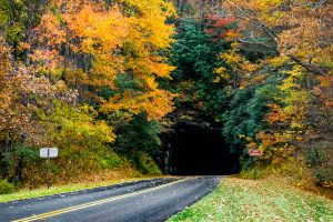 Twin Tunnels in Fall Color