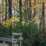 Hunt-Fish Falls Trailhead