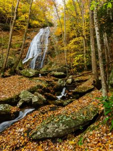 Little Lost Cove Creek Falls in Fall Color