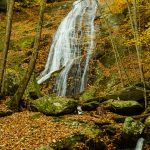 Little Lost Cove Creek Falls in Fall Color