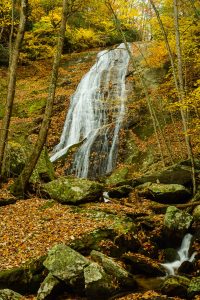 Little Lost Cove Creek Falls in Fall Color