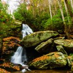 Little Lost Cove Creek Falls in Fall Color