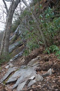 Wildcat Rock Trail Below Cliffs