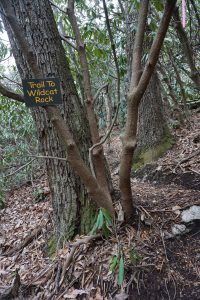 Trail to Wildcat Rock Sign