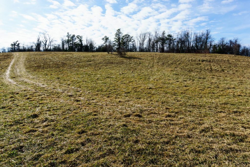 2014-12-31_upper-hickory-nut-gorge_trombatore-trail-blue-ridge-pastures