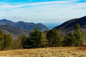 Upper Hickory Nut Gorge