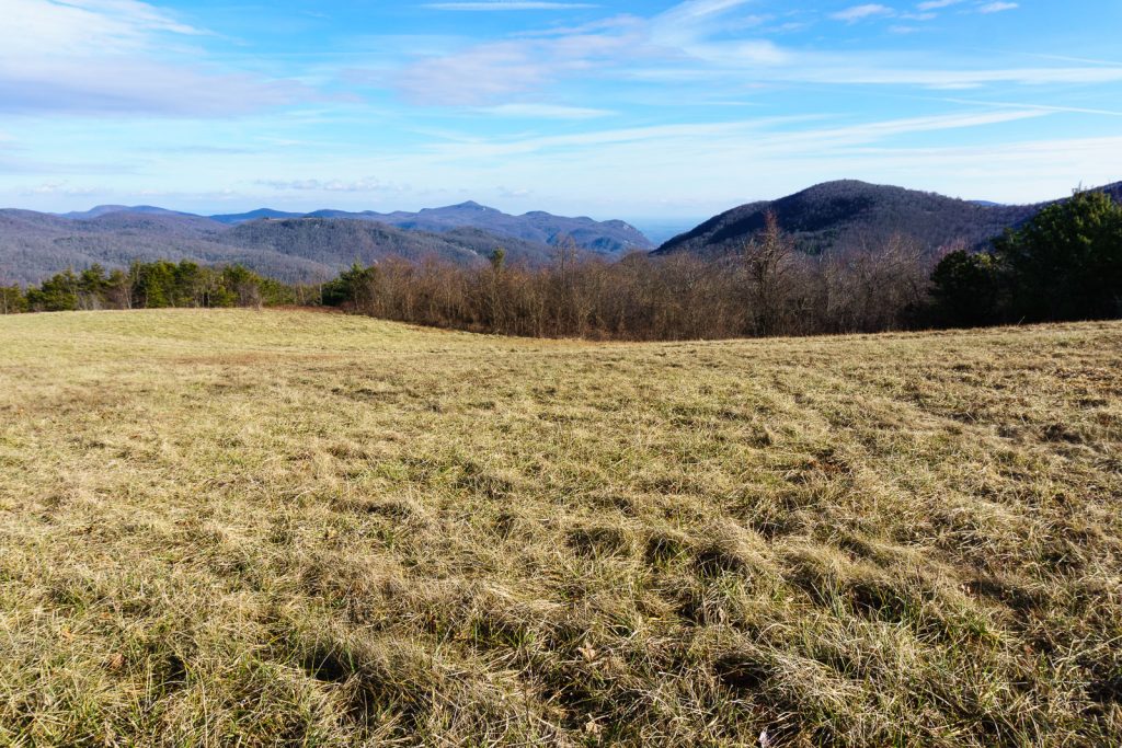 2014-12-31_upper-hickory-nut-gorge_trombatore-trail-pasture-gorge-view