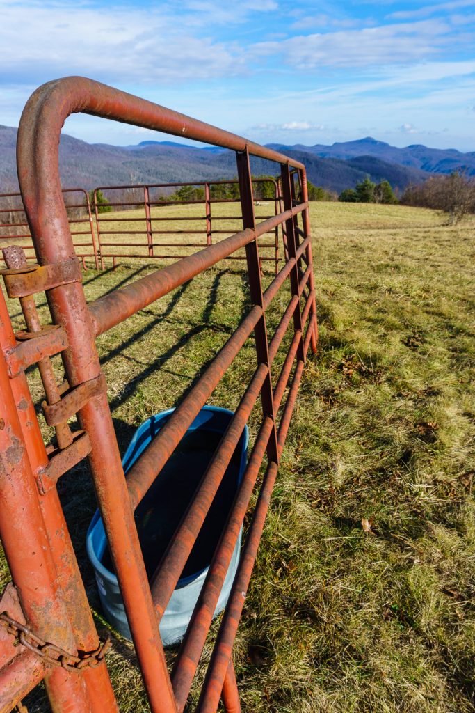 2014-12-31_upper-hickory-nut-gorge_trombatore-trail-pen-pasture-view