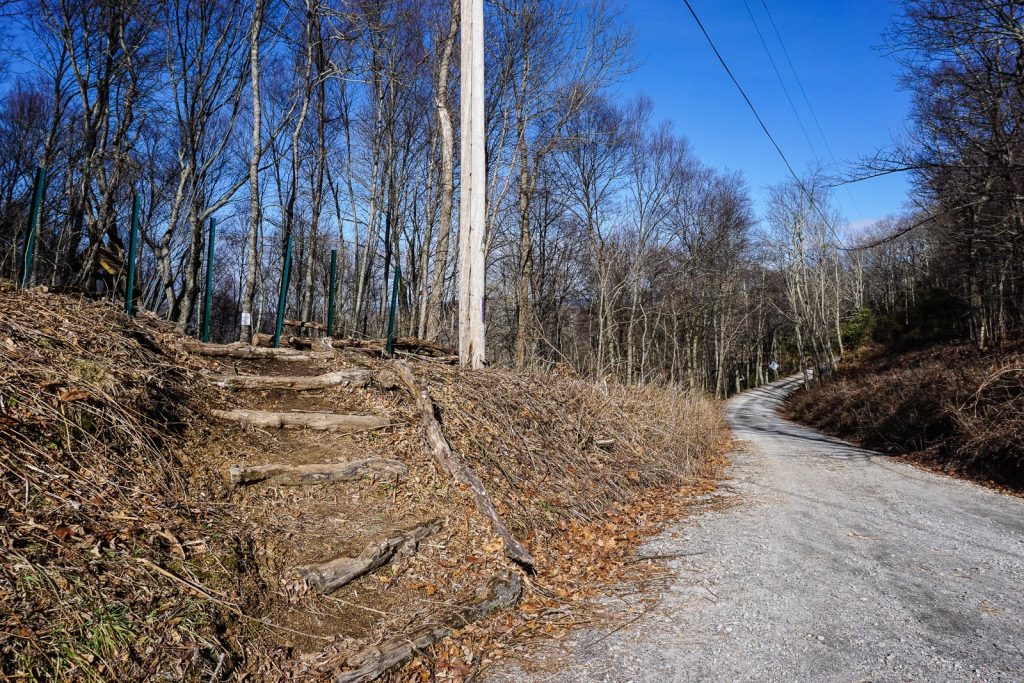 2014-12-31_upper-hickory-nut-gorge_trombatore-trail-road-steps