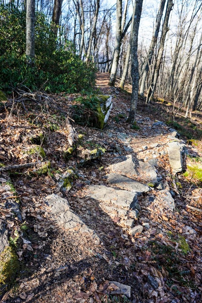 2014-12-31_upper-hickory-nut-gorge_trombatore-trail-rock-steps