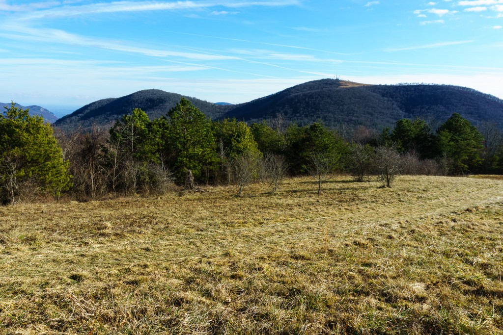 2014-12-31_upper-hickory-nut-gorge_trombatore-trail-view-bearwallow