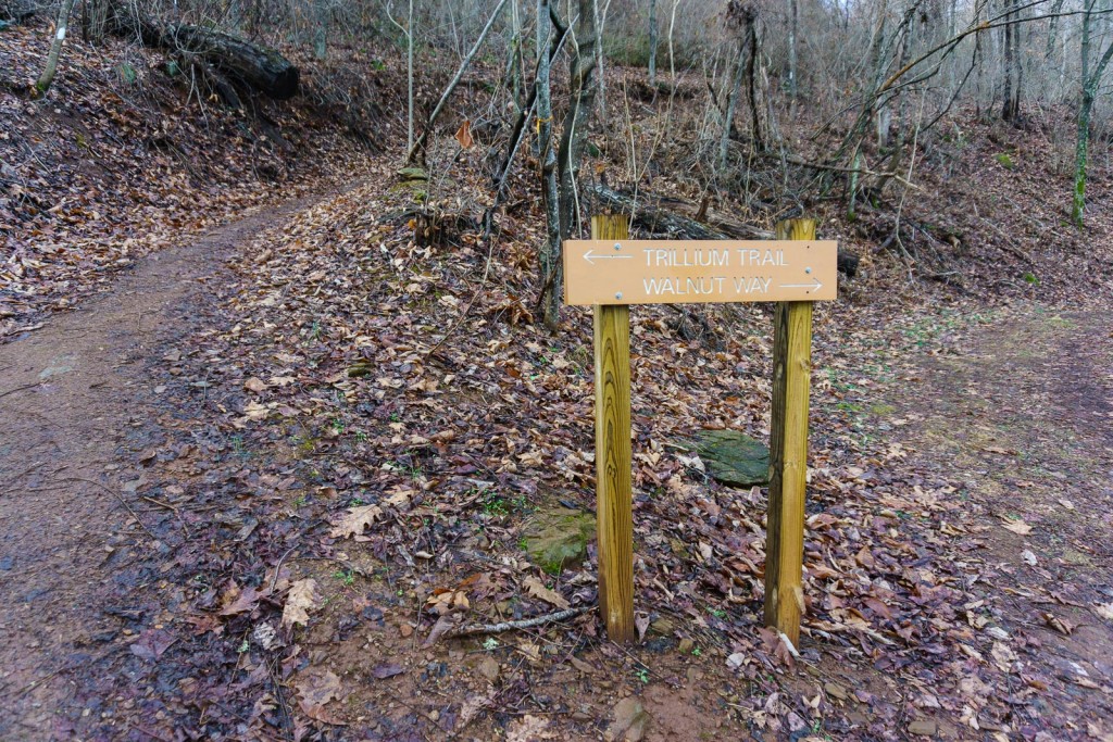 Trail Split and Sign