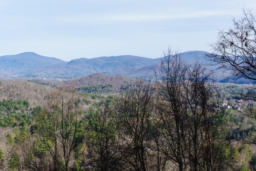 View of Bearwallow and Little Pisgah