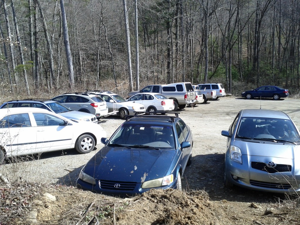 The parking lot was overflowing on this warm January day - the first time I've seen it that packed.