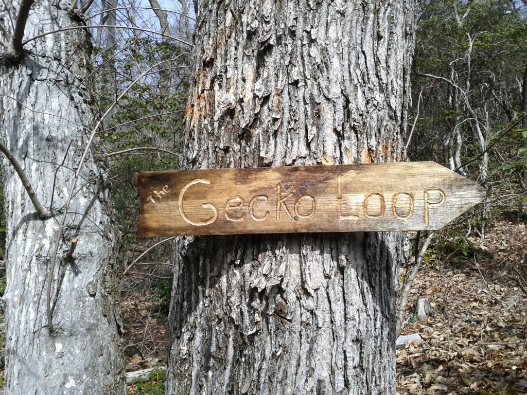 New looking sign nailed to a tree, at the top of a clearing in Shope Creek.