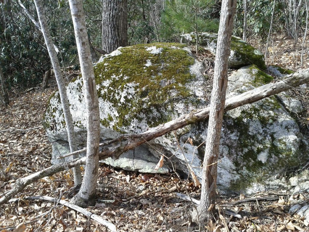 Big boulder in Shope Creek.