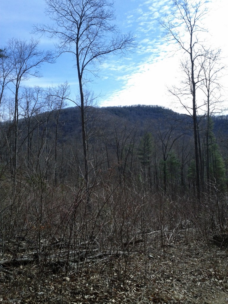 View from the clearings in the Shope Creek section of Pisgah National Forest.