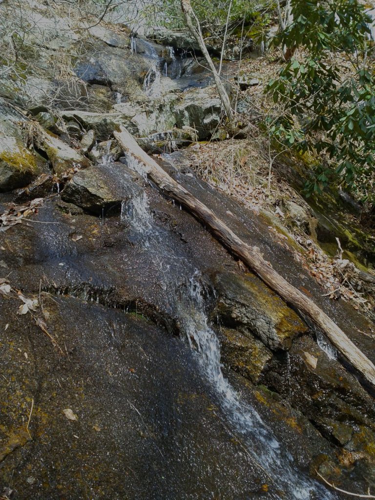 Small waterfall on Wolf Branch.