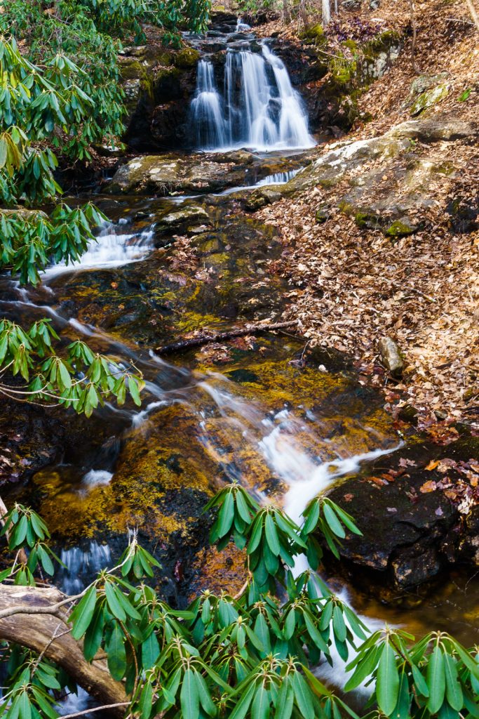 View across Shope Creek at Forrest Falls.