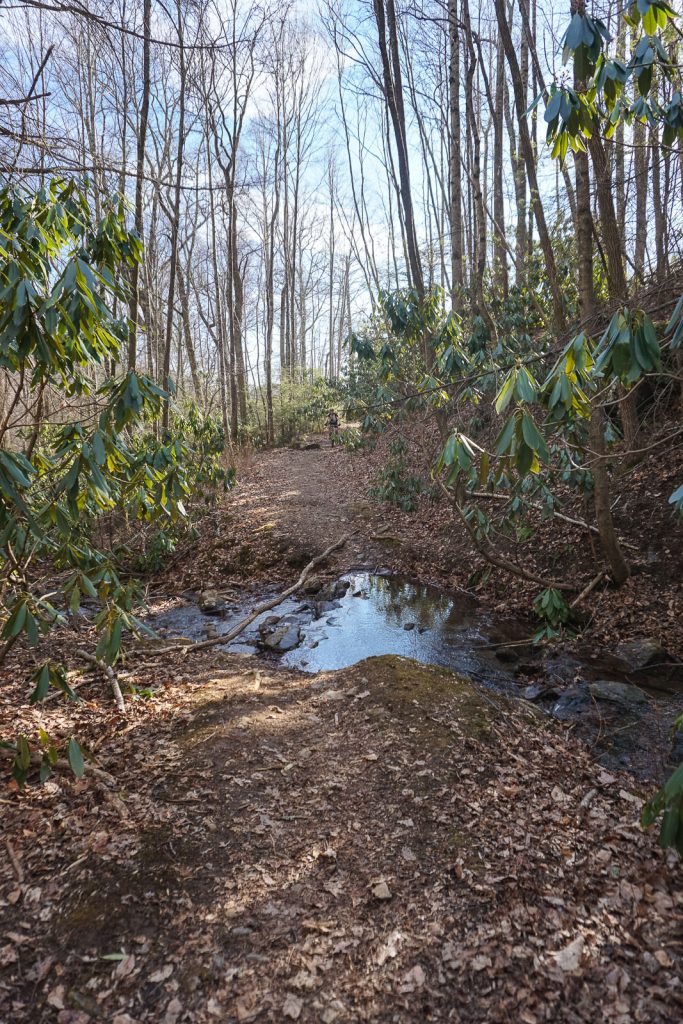 Crossing of Tributary of Shope Creek on an unmarked trail.