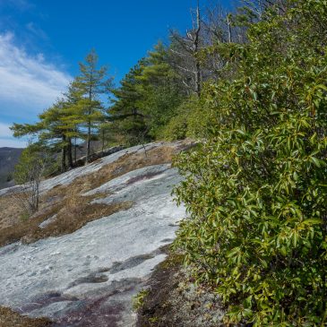 Panthertown Valley Hike: Blackrock Overlook and Granny Burrell Falls