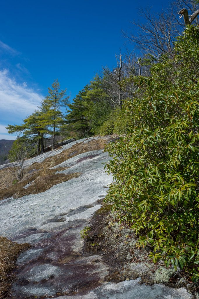 2015-03-15_panthertown-valley_blackrock-mountain-overlook-from-trail