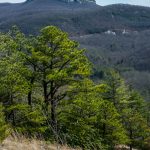 View from Blackrock Overlook