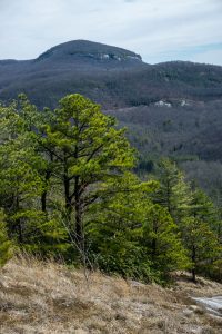 View from Blackrock Overlook