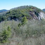 View of Big Green Mountain