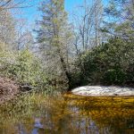 Pool on Panthertown Creek