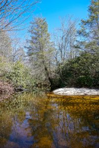 Pool on Panthertown Creek