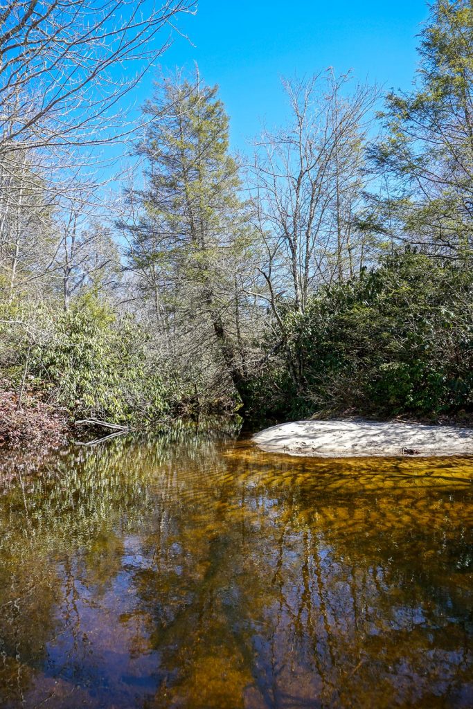 2015-03-15_panthertown-valley_sandbar-on-frolictown-creek