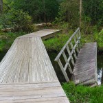 Broken Bridge at Pink Beds