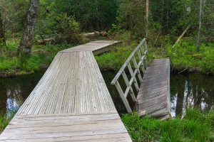 Broken Bridge at Pink Beds