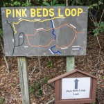 Trail Sign and Map at Pink Beds