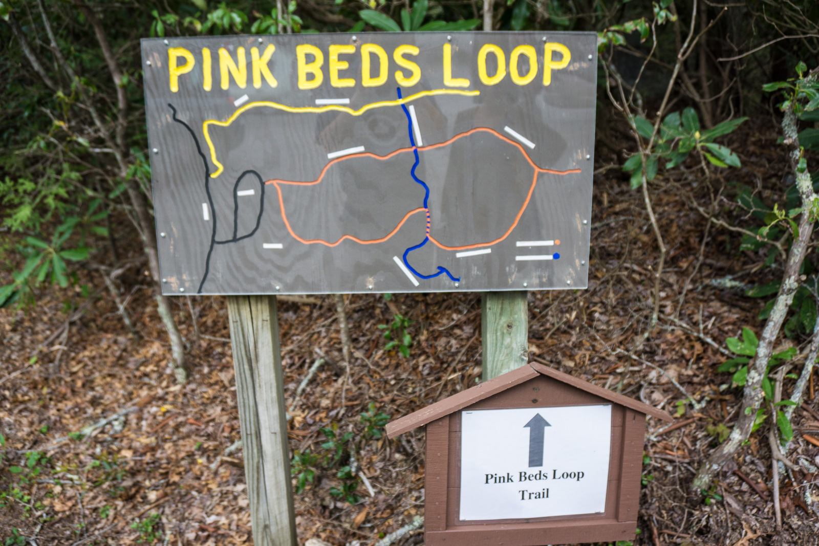2015-05-03_pisgah-pink-beds_trail-sign-and-map.jpg Trail Sign and Map at Pink Beds