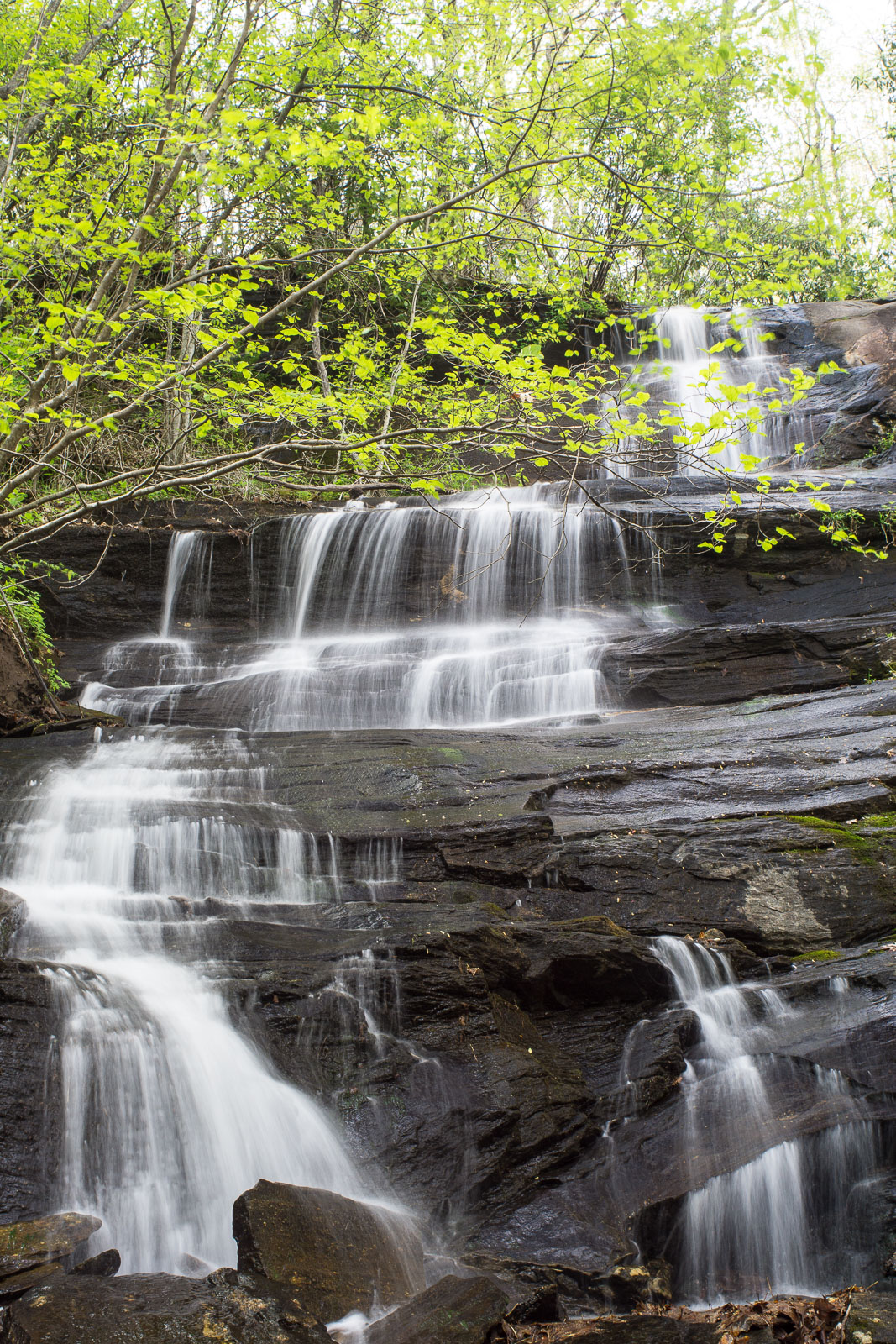 2015-05-03_pisgah-pink-beds_waterfall-beside-barnett-branch-trail.jpg Waterfall Beside the Barnett Branch Trail