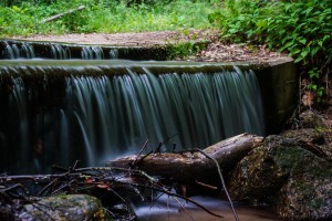 Pisgah National Forest: Shope Creek Area