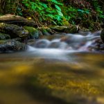 Rock Under Stream