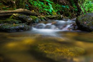 Rock Under Stream