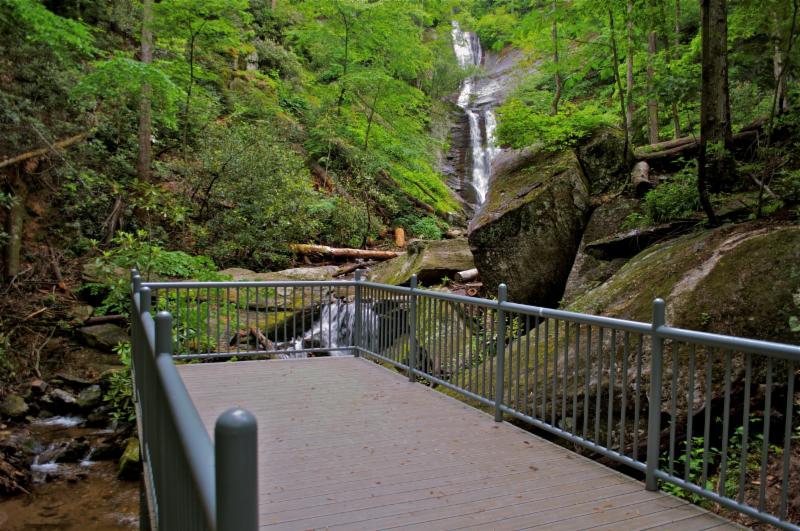 Toms Creek Falls Observation Deck