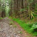 Appalachian Trail on Roan High Knob