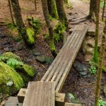 Bridge on Appalachian Trail