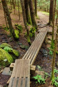 Bridge on Appalachian Trail