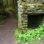 Chimney beside the Appalachian Trail