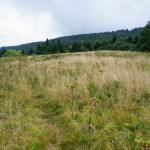 Cloudland Hotel Site